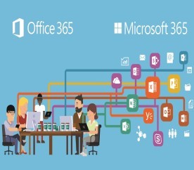 Office 365 / Microsoft 365 관리자 교육